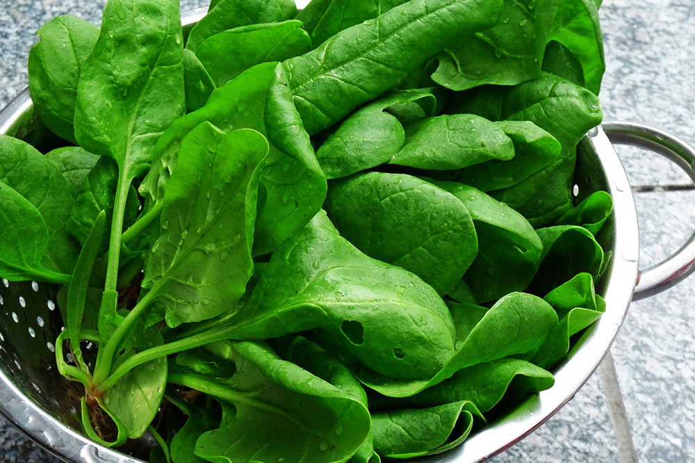 11 Foods to Help Improve Osteoporosis Symptoms and Treatments
