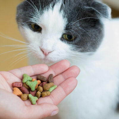 8 Store-Bought Healthy Cat Treat Brands