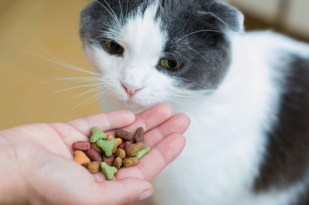 8 Store-Bought Healthy Cat Treat Brands