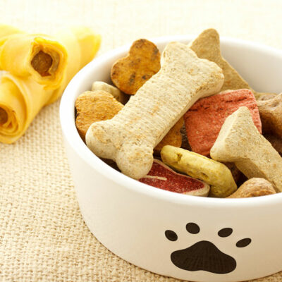 DIY Recipes to Prepare Healthy Dog Food at Home