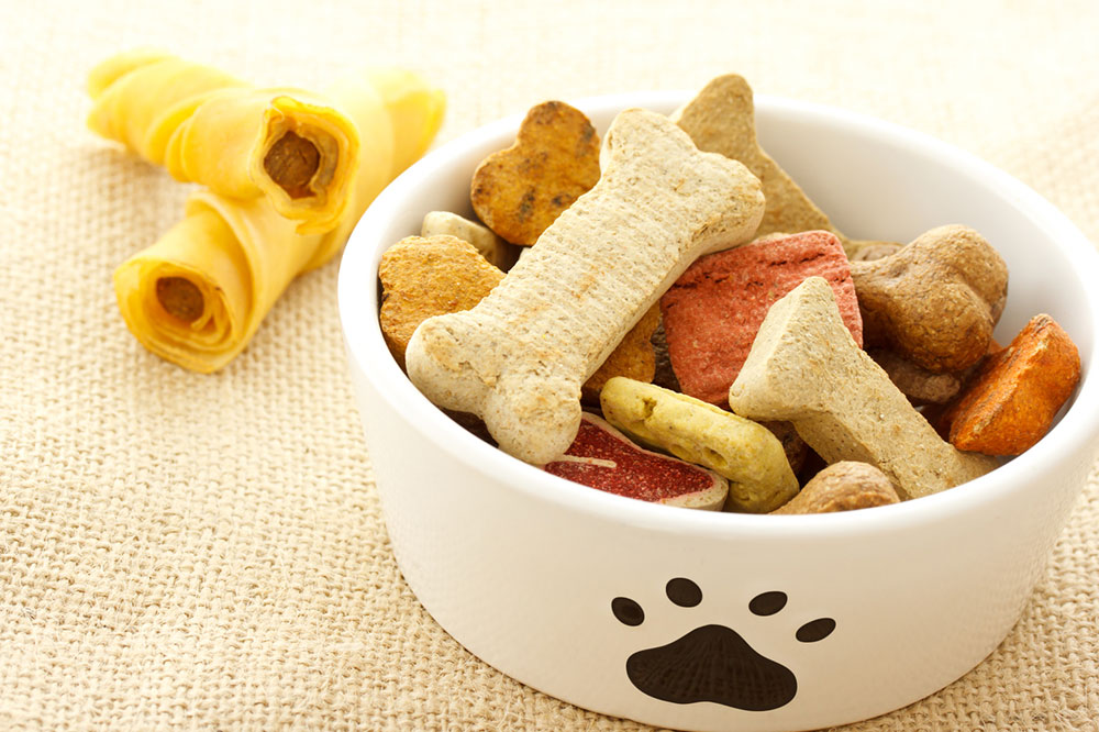 DIY Recipes to Prepare Healthy Dog Food at Home